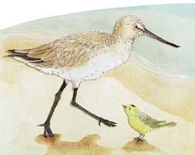 2026年冒险游戏进化论，开放世界+肉鸽like如何重塑探索体验？