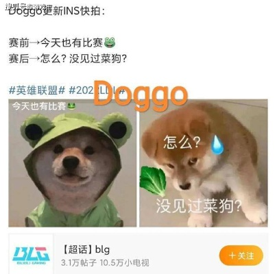 哇塞！滔搏智斗假赛狗擒奶油登顶热搜，吧友盛赞反菠菜斗士