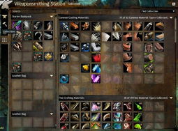 激战2公测类型揭秘，永久免费试玩模式下的新手生存手册