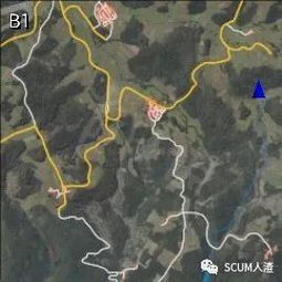 深度剖析！SCUM人渣地图神秘区域大揭秘，助你全面掌握！