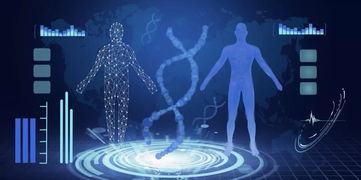 一、解构梦游江湖的4大核心基因