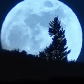 一、新轻功类型全景，不只是飞得更高