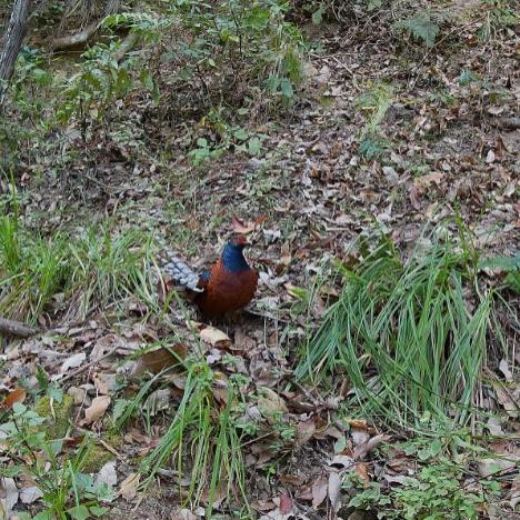 天堂永恒国服迟迟不开？韩服实战玩家揭秘3大核心玩法与避坑指南
