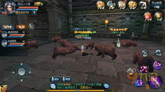 笑傲江湖副本速刷秘籍，3分钟搞懂东方不败机制与装备搭配