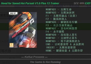 极品飞车12中文版Win11闪退黑屏终极修复指南2026实测有效