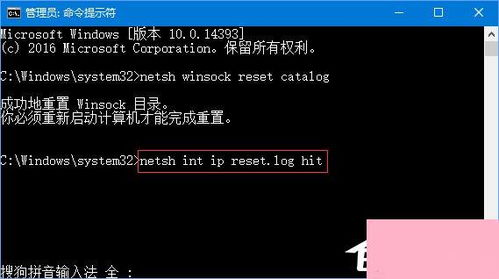 2026私服发布站程序终极选型指南，这3款黑马系统让流量暴涨300%