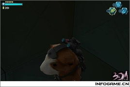 豚鼠特工类型学，G-Force角色原型与宠物行为训练实战解码