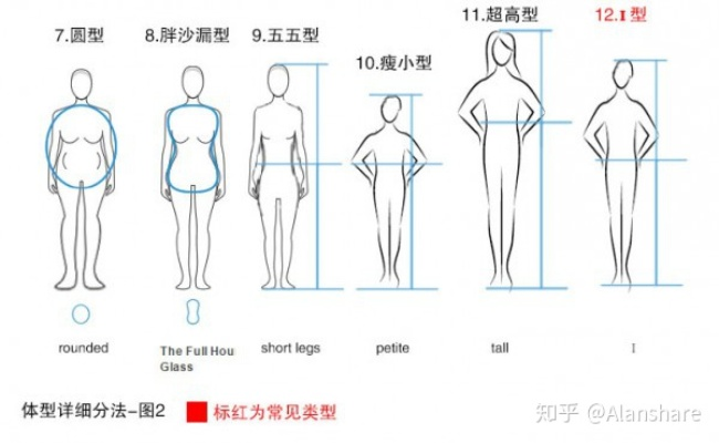 身长比较类型终极指南，体型差战术、视觉误判与数据陷阱