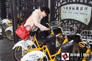 老鼠胎是智商税？2026年城市通勤单车选型终极指南