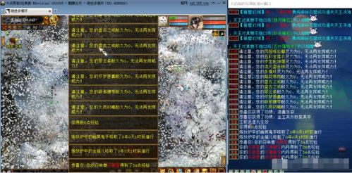 天羽传奇外挂类型全揭秘，2026年最新作弊手段与反制实战指南