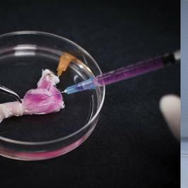 想体验蒸汽朋克即时战略？大鼠帝国现已在Steam震撼上线！