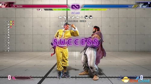 双截龙连招圣经，从入门到精通的全角色必杀技拆解