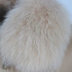 2026年最新尾毛类型全解析，5大选型策略与隐藏款解锁秘籍