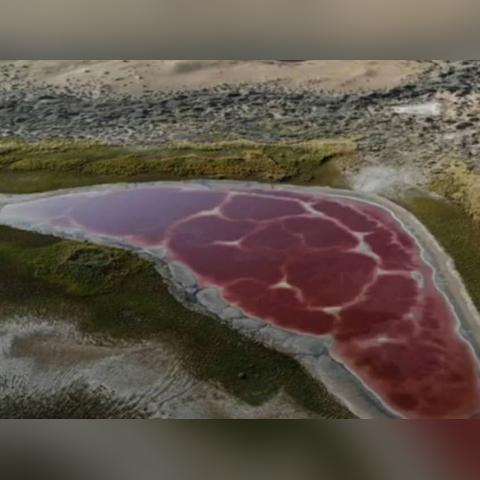 《红色沙漠》最终前瞻  实机演示发布