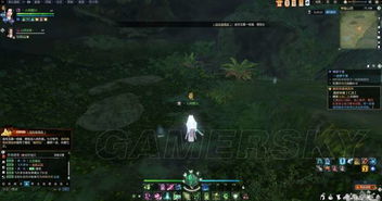 逆水寒星宫录情牵千里任务全解析，超实用攻略秘籍大揭秘