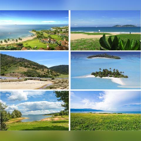 神魔大陆薰衣草类型全图谱，2026年Q1最新刷新机制与高效采集路线