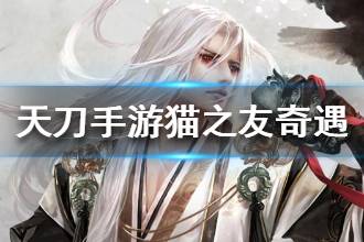 天涯明月刀明月心强度暴跌？2026Q1数据揭示真相与逆袭方案