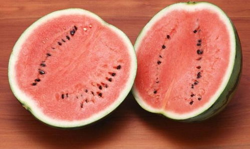 2026新版合成大西瓜终极攻略，物理规律深度解析+高分combo实战技巧