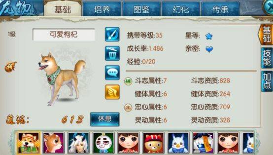 生肖外传职业选择总踩坑？2026最新T0强度榜+神兽养成终极攻略