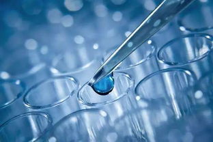 2026年最新数据，合成酿酒护目镜探测效率提升300%的7个隐藏技巧