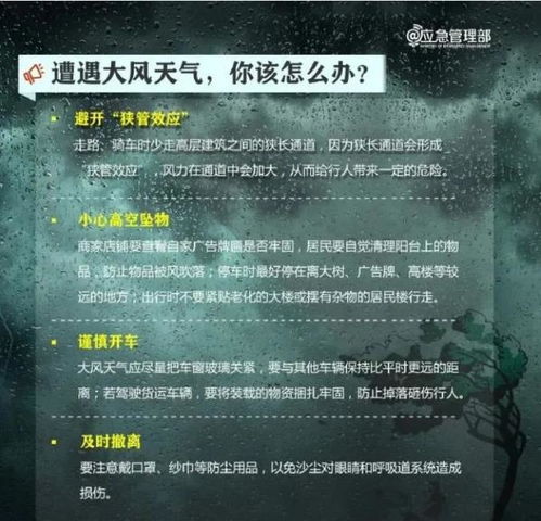 绝望精华刷爆攻略，3天速刷500个的隐藏技巧与避坑指南