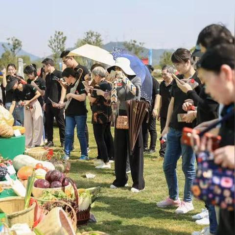 永久基地2是什么类型？2026年终极生存建造攻略