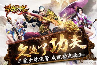 九阴真经少林三内2026实战深度测评，金刚不坏神功真的过时了吗？