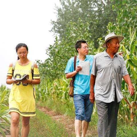 深度揭秘绿林传奇角色属性，超全技能攻略大解析！