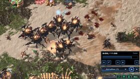 2026虫族天梯上分困局破解，从毒爆timing到后期运营的7个实战命门