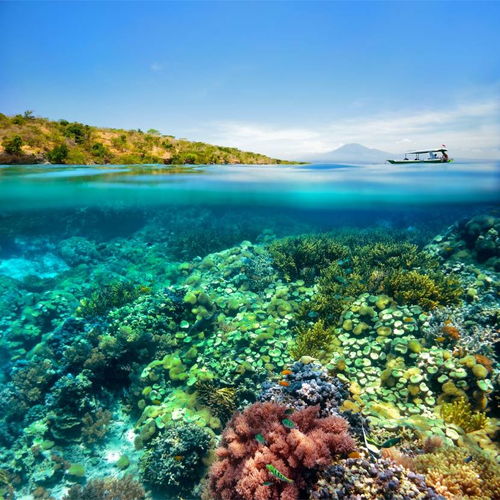 想速通宝可梦朱紫6星坑？新手必知通关攻略与强力宝可梦推荐