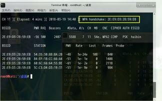 狂野系，暴力输出的隐藏密码