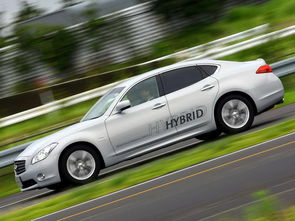 新手救星！GTS驾校1 - 48关全金通关攻略大揭秘