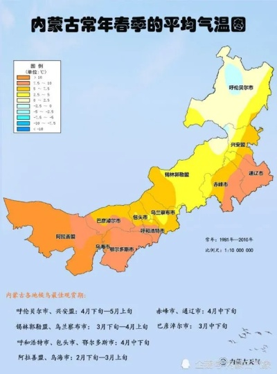 鸟儿被内蒙古的风封印了？全网最全解读+2026春季风季生存摄影双指南