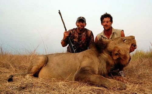 3D打猎2010为什么总打不中？老猎人亲测弹道修正与动物行为预判指南