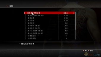 2026年迷你忍者中文补丁实测，从Steam版到破解版的全版本适配方案