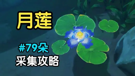 想快速获取原神月莲？这份高效攻略让你轻松上手月莲获取法