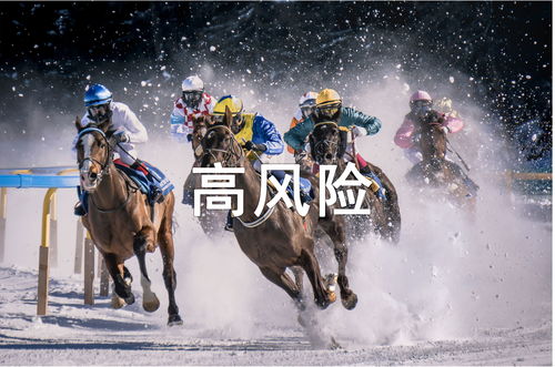 鸟叔表演类型深度解码，不只是简单的骑马