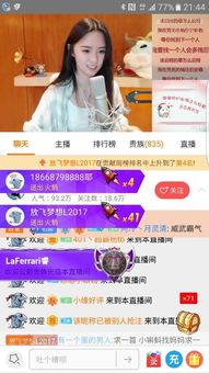 斗鱼阿科类型深度揭秘，2026年Q1数据曝光+高手都在用的5个隐藏设置