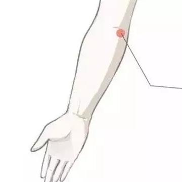 仙剑3问情篇地图全破，2026新版少阳三焦/厥阴心包迷宫100%探索指南