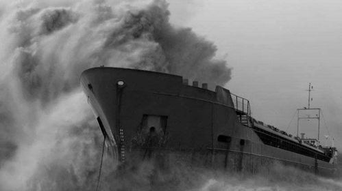 幸存者游戏卡关噩梦？这套动态Build组合让你伤害爆炸