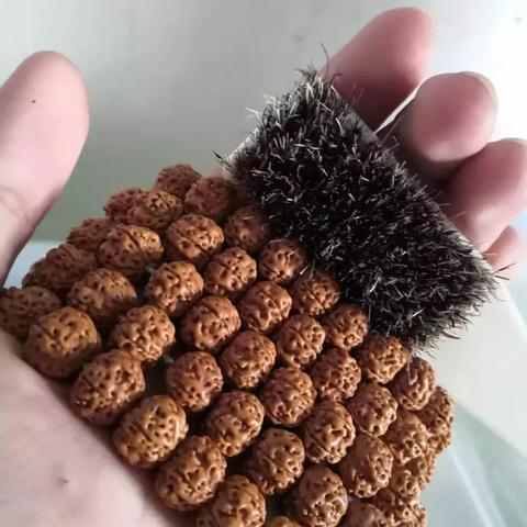 3月27日口袋西游重启，新服菩提预约通道现已火热开启！