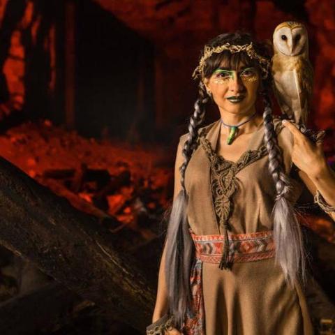 探秘饥荒，剧情、角色、道具等全方位攻略秘籍大揭秘