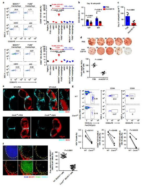 清籁岛解密全通攻略，2026年最新雷种子机制与继电石连线图解