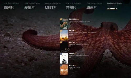 2026年汐族飞行器绝版榜单，深海幽灵vs鲲鹏之影实测数据