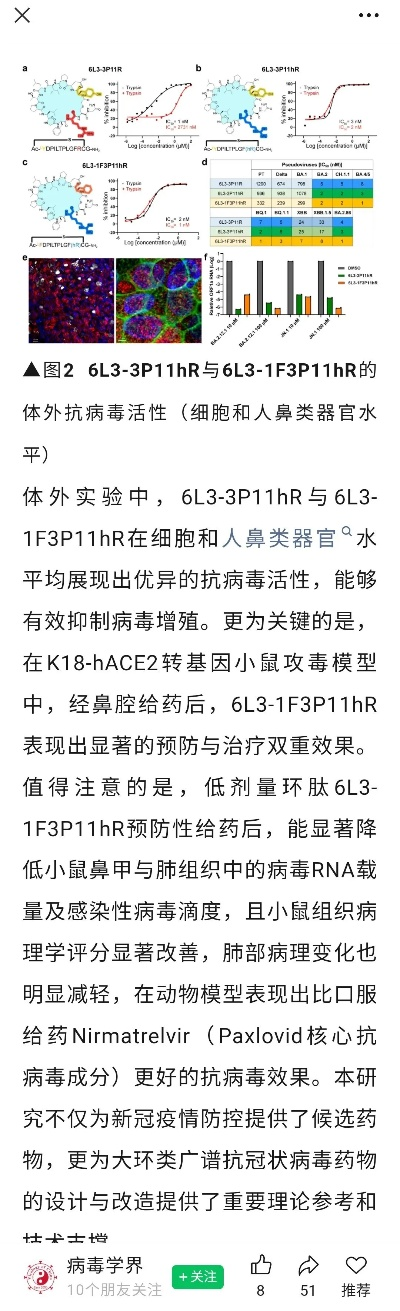g幼体类型怎么选？2026年3月最新强度榜与培养避坑指南