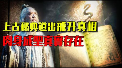 肉身成圣还是气血无双？2026最新体修类型深度匹配指南