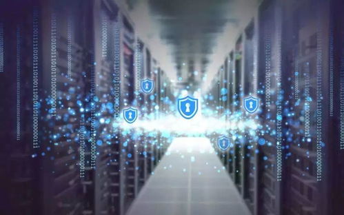 别再搜风云官方网了！2026年正版入口+隐藏福利通道全曝光