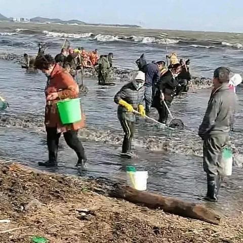 泸沽虾2026年爆发预警，海边大量出现的3大类型与赶海玩家实战鉴别捕捞全攻略