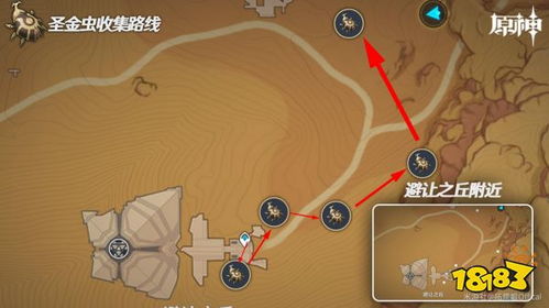 原神圣金虫刷新点地图，3条核心路线+隐藏点位大公开