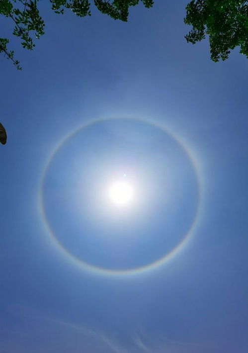 峨眉山金顶惊现巨型日晕，2026春季气象摄影实战手册与预测模型